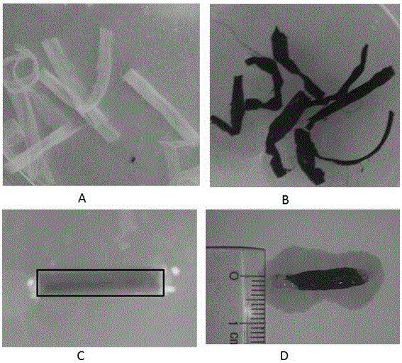 Artificial nerve graft constructed based on chip-type acellularized scaffold and preparation method of artificial nerve graft