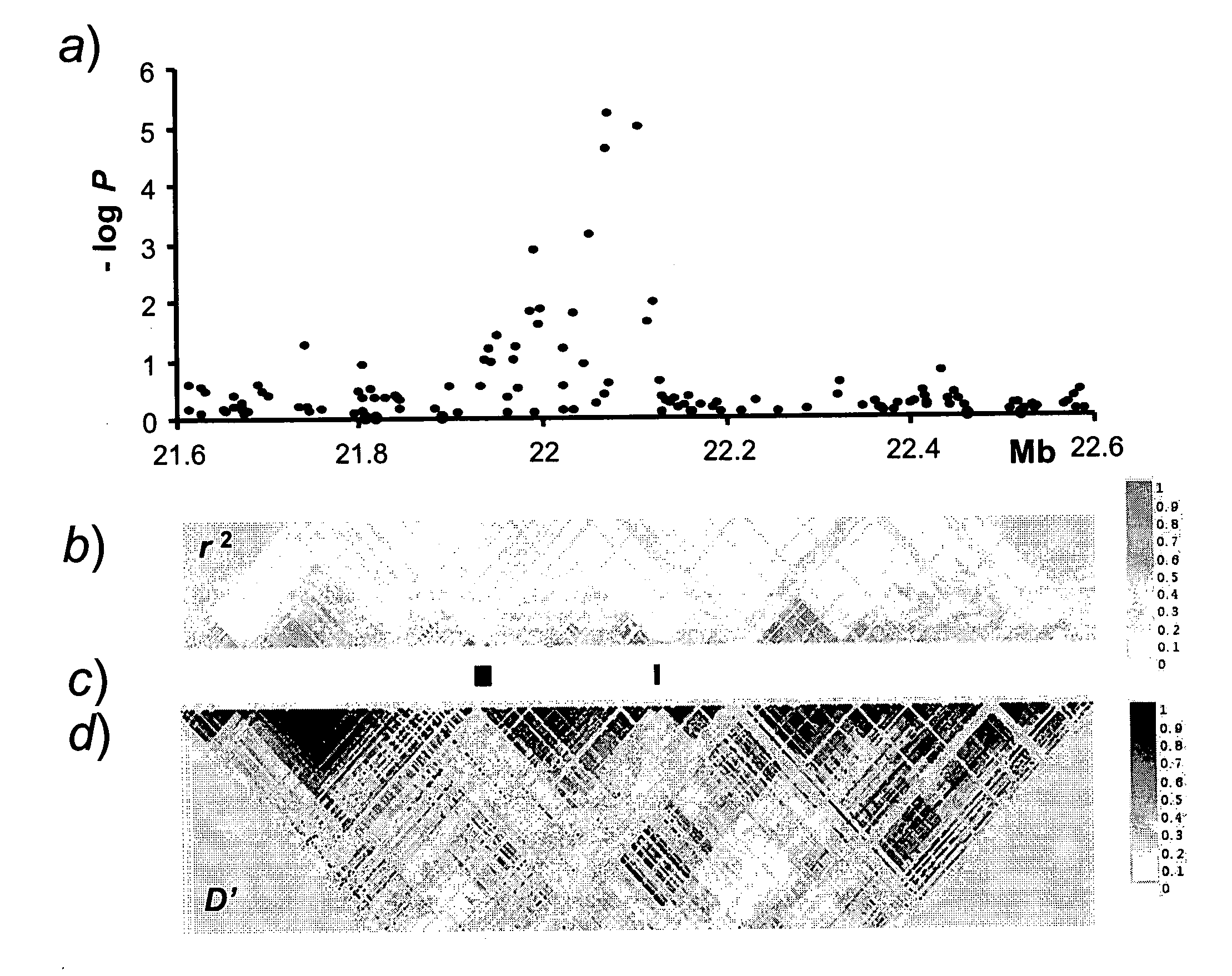 Genetic susceptibility variants associated with cardiovascular disease