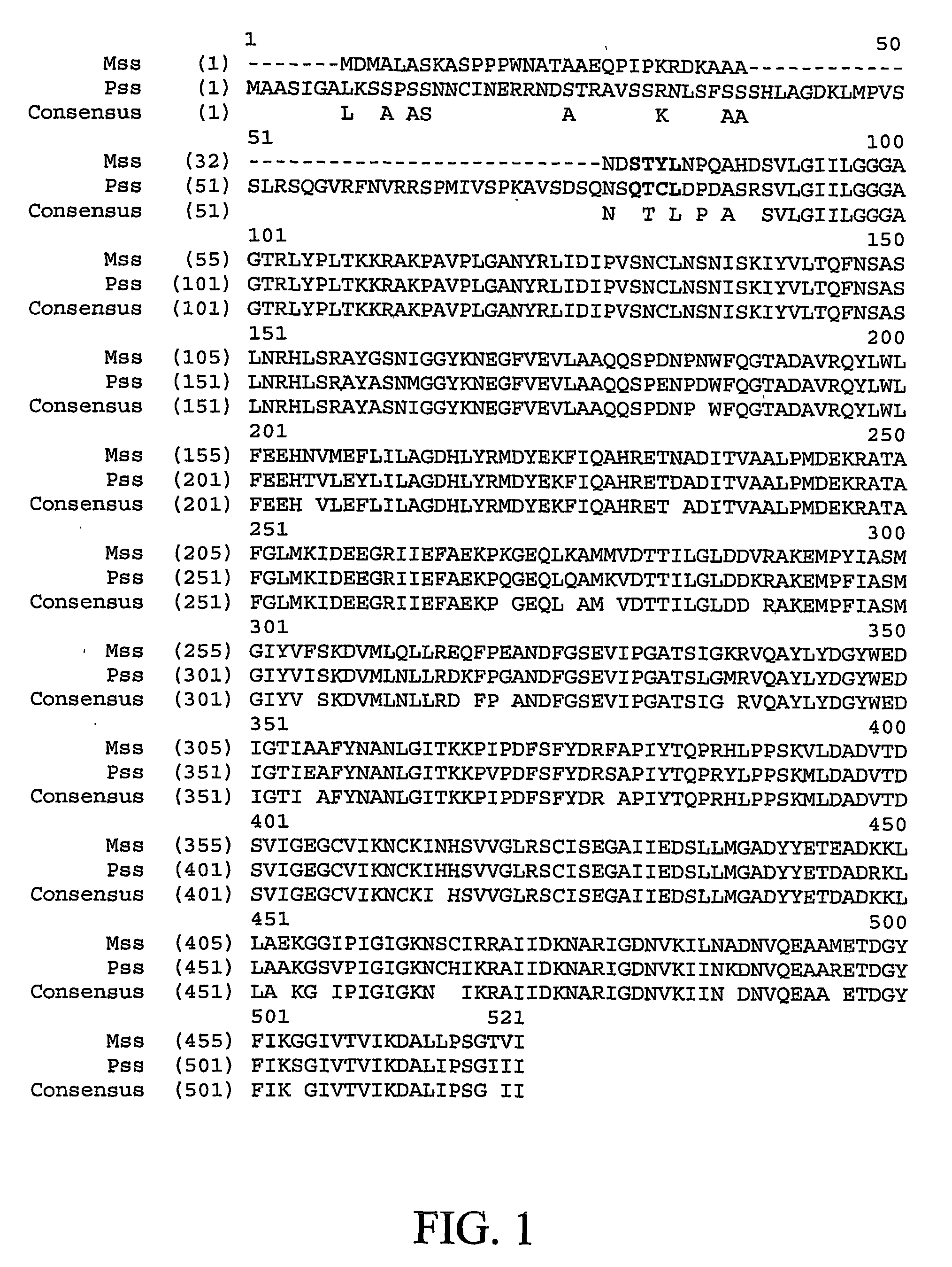 Heat stable variants of plant adenosine diphosphate glucose pyrophosphorylase small subunit