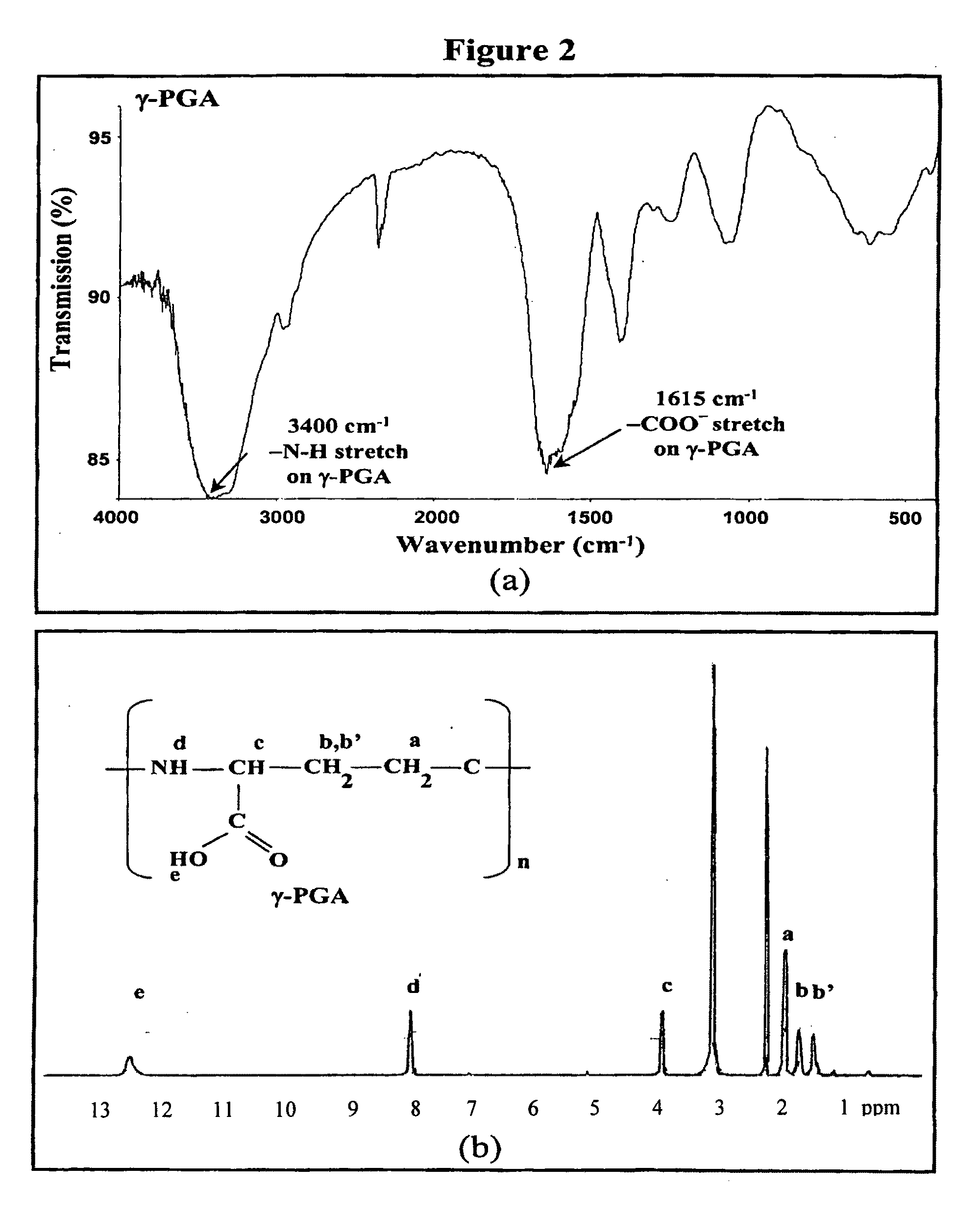 Nanoparticles for protein drug delivery