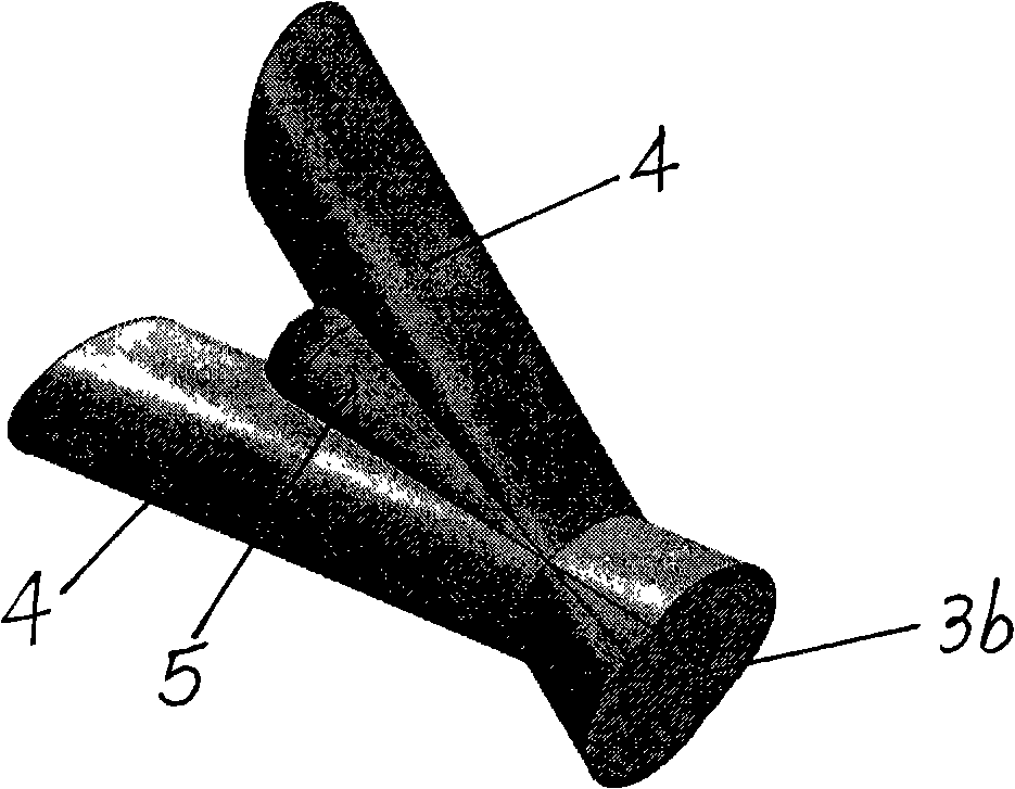 Internal-combustion engine alternating spray hole type nozzle with perturbing zone