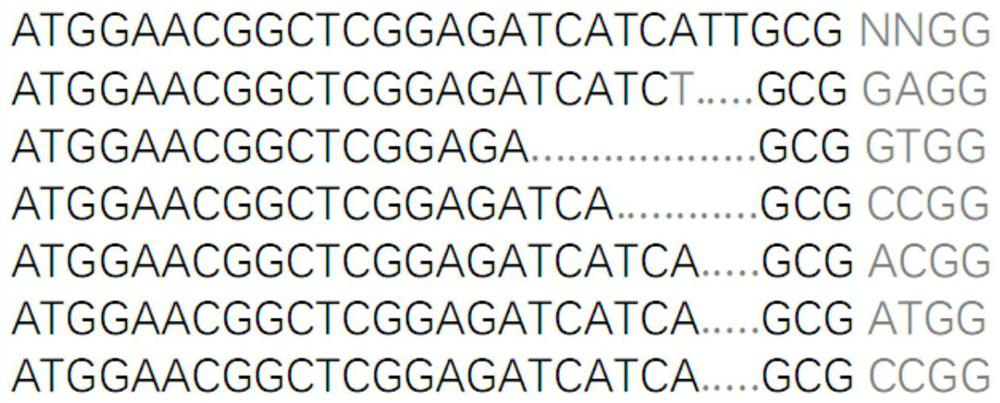 crispr/sa-slugcas9 gene editing system and its application