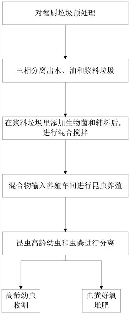 Kitchen waste disposal system and method based on insect breeding