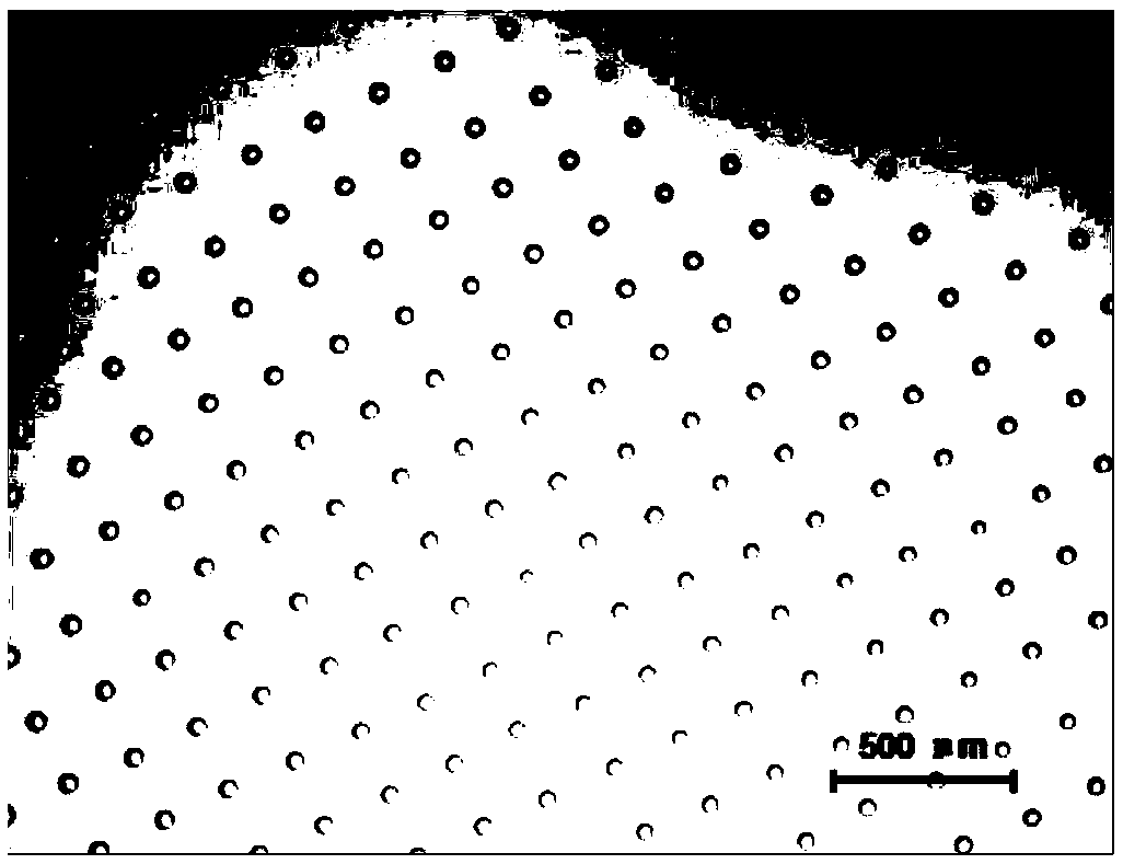 Drop array chip and preparation method thereof