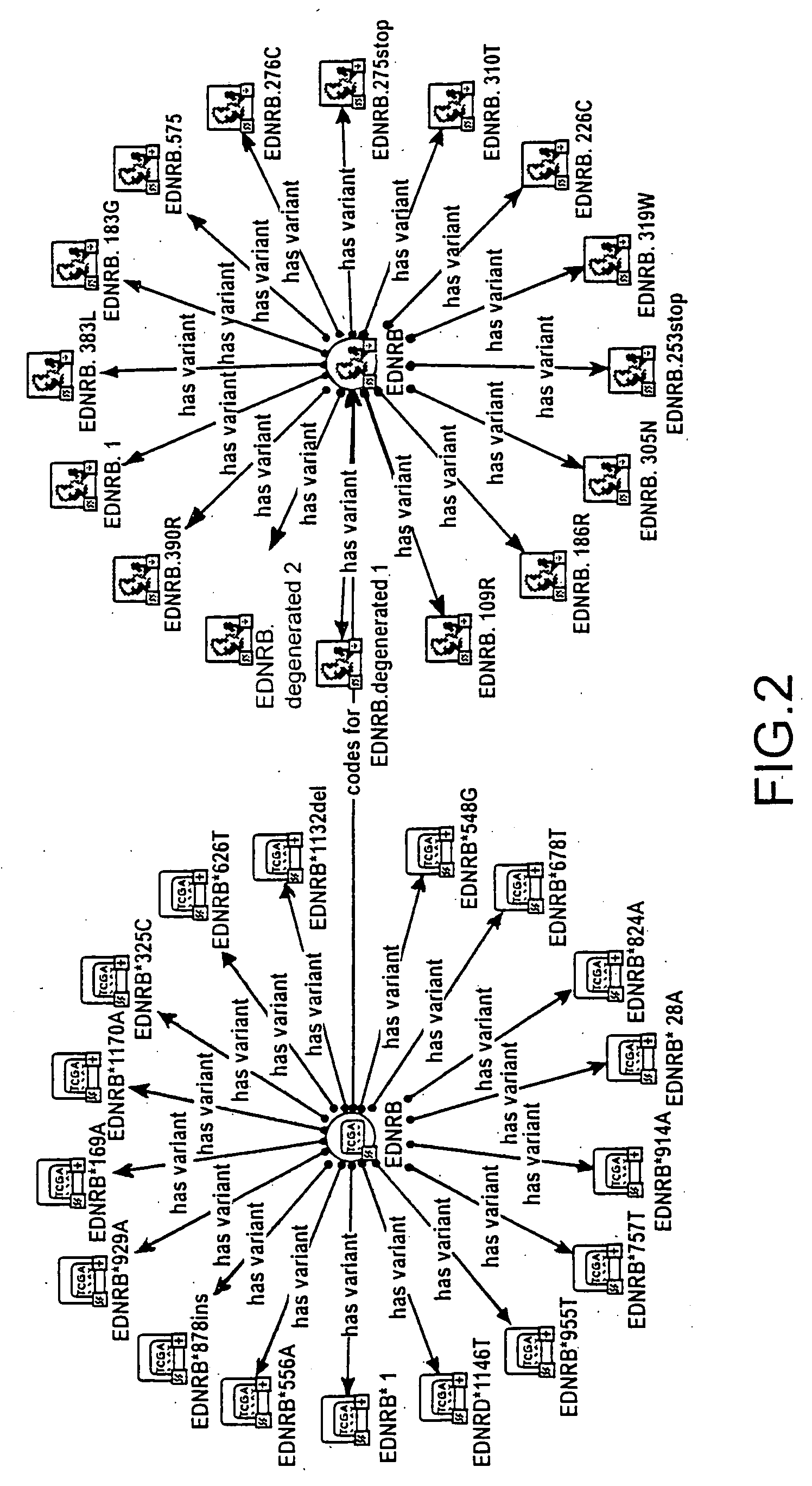 Individual drug safety