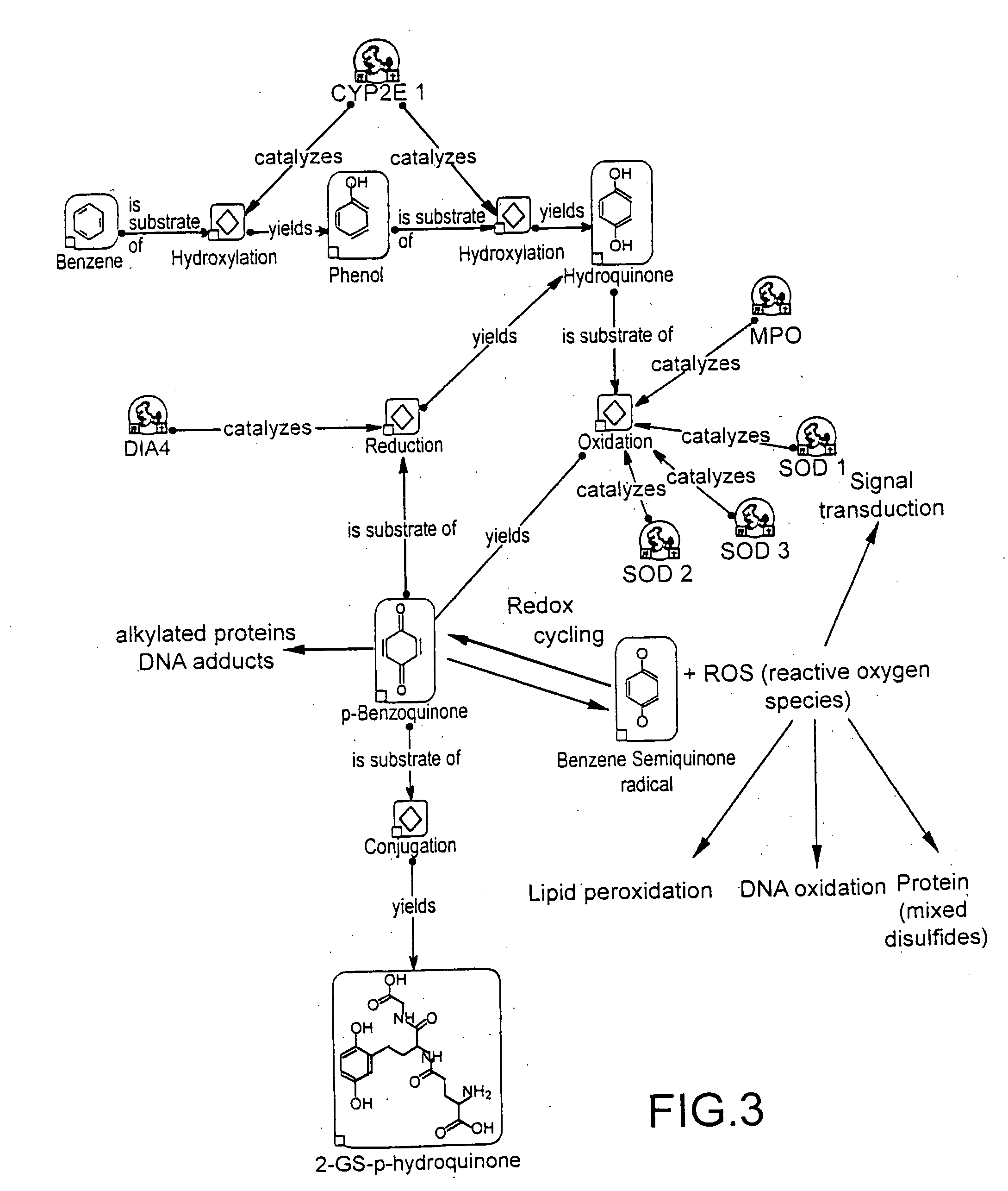 Individual drug safety