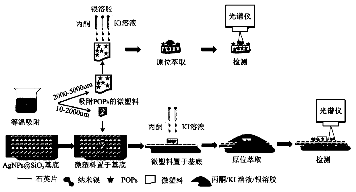 SERS detection method for persistent organic pollutants in water body based on microplastics