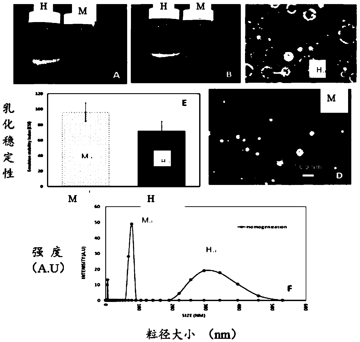 Nanoscale fish oil microcapsule as well as preparation method and application thereof