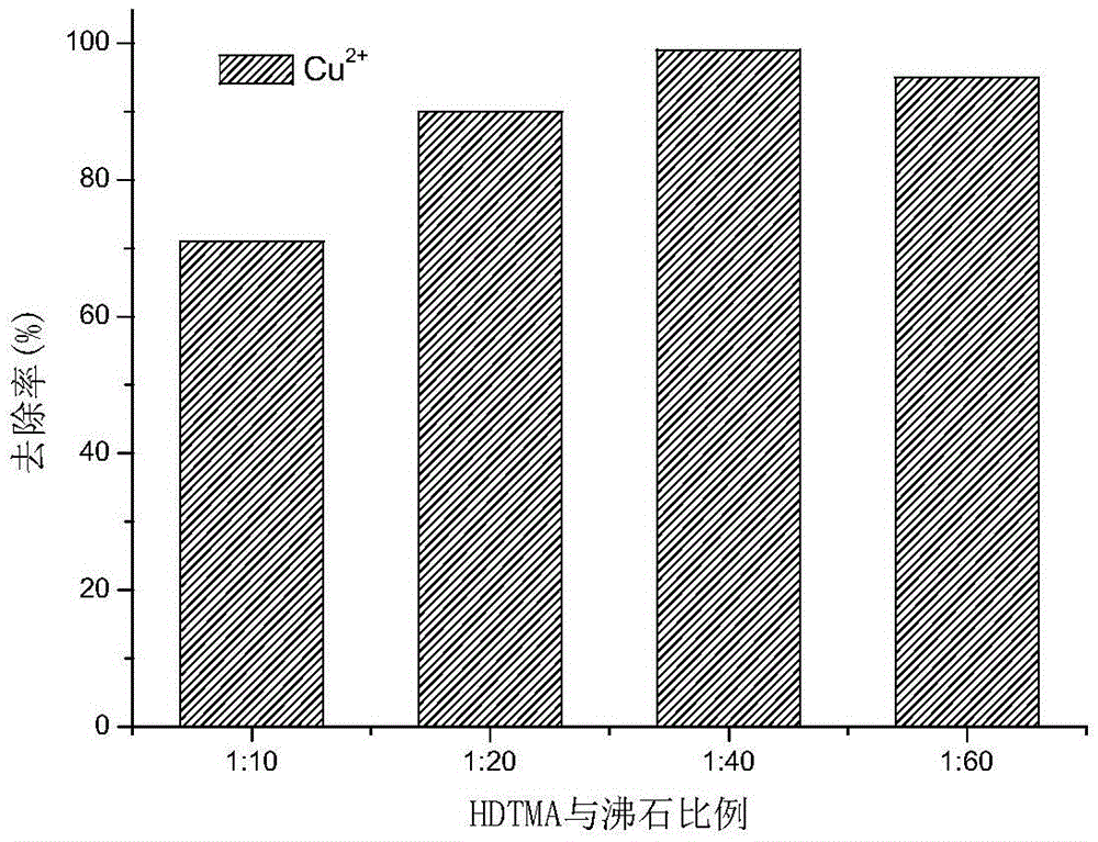 Preparation method and application of modified zeolite