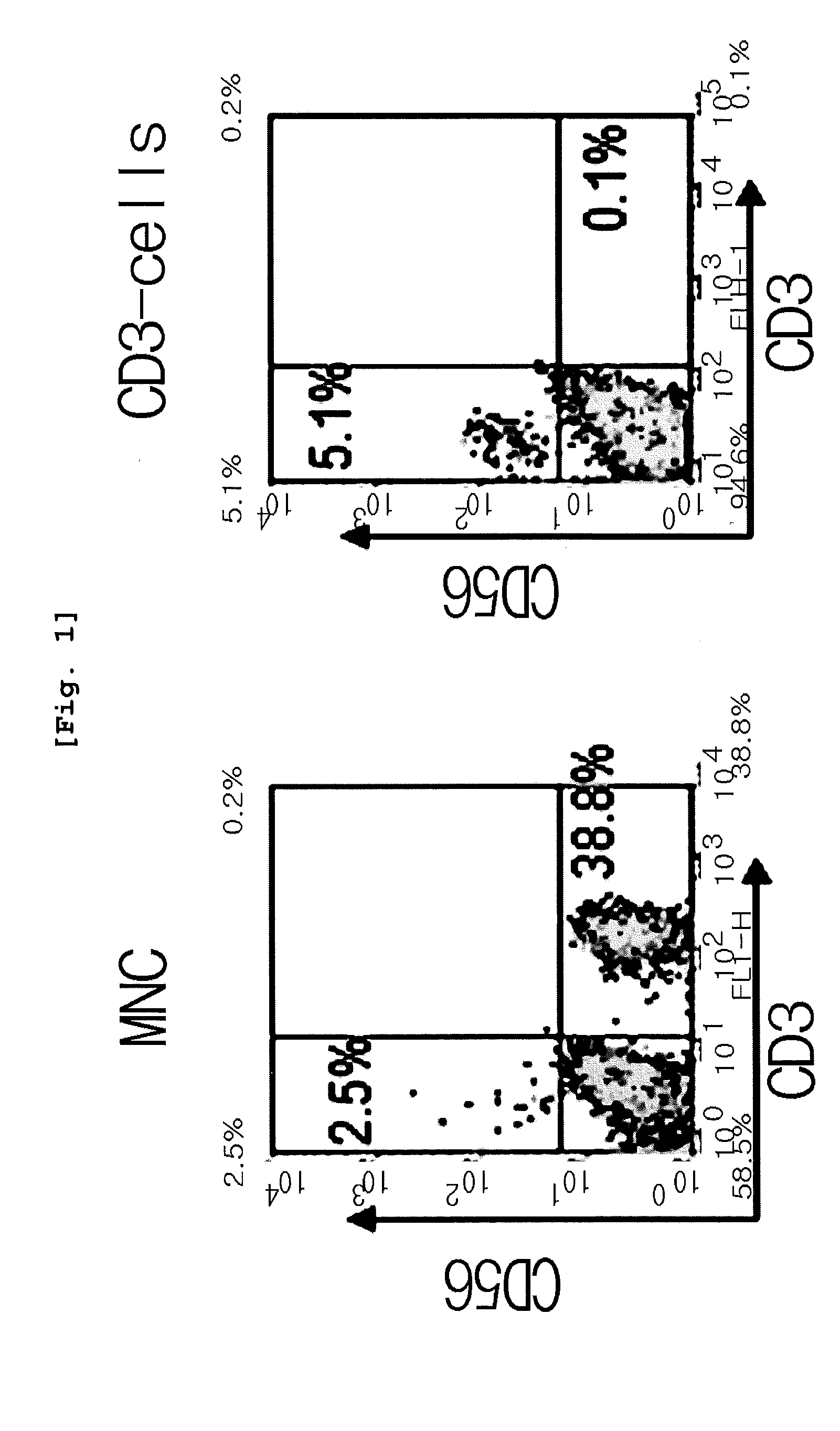 Method for Efficiently Proliferating and Differentiating Natural Killer Cells from Umbilical Cord Blood