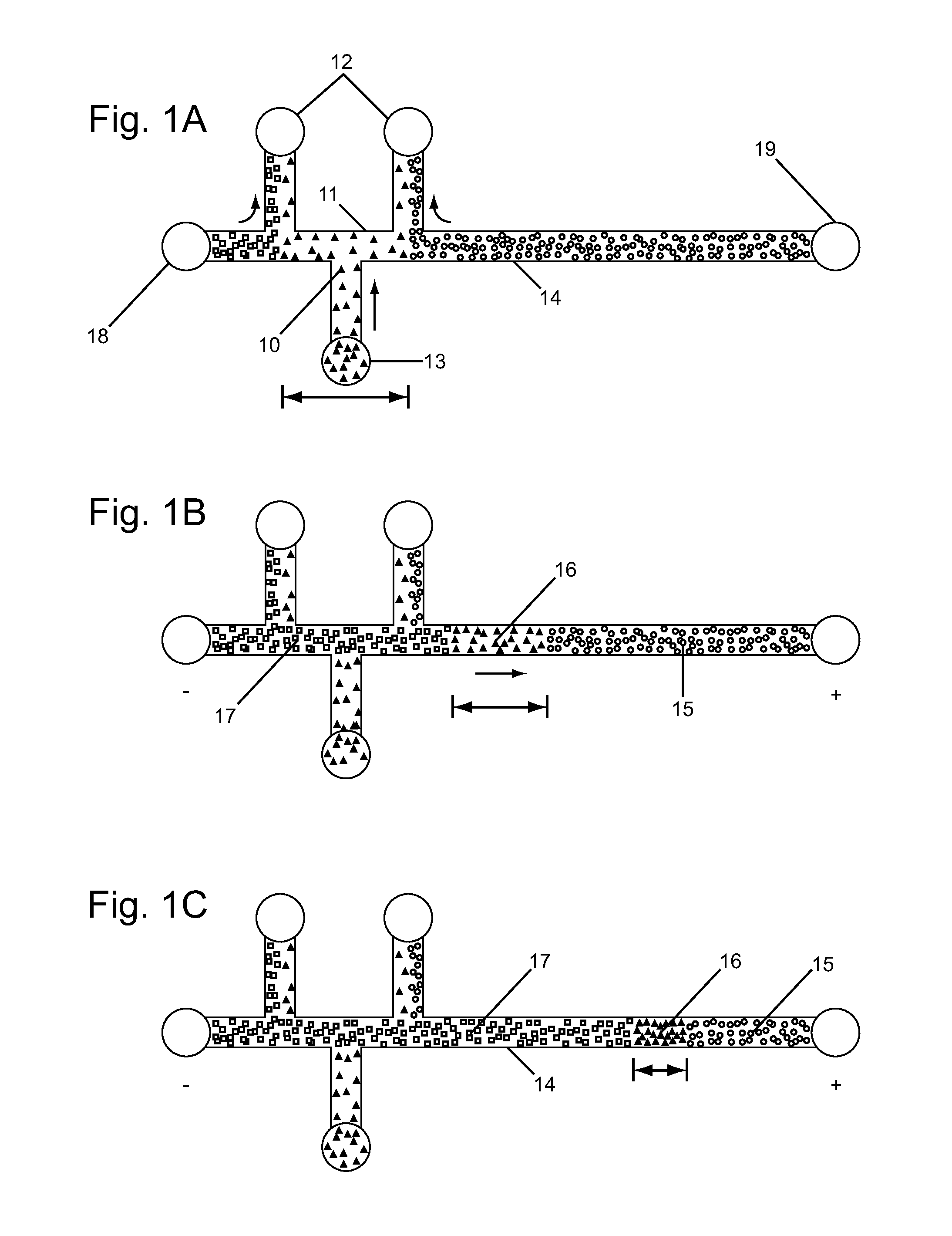 Analyte Injection System