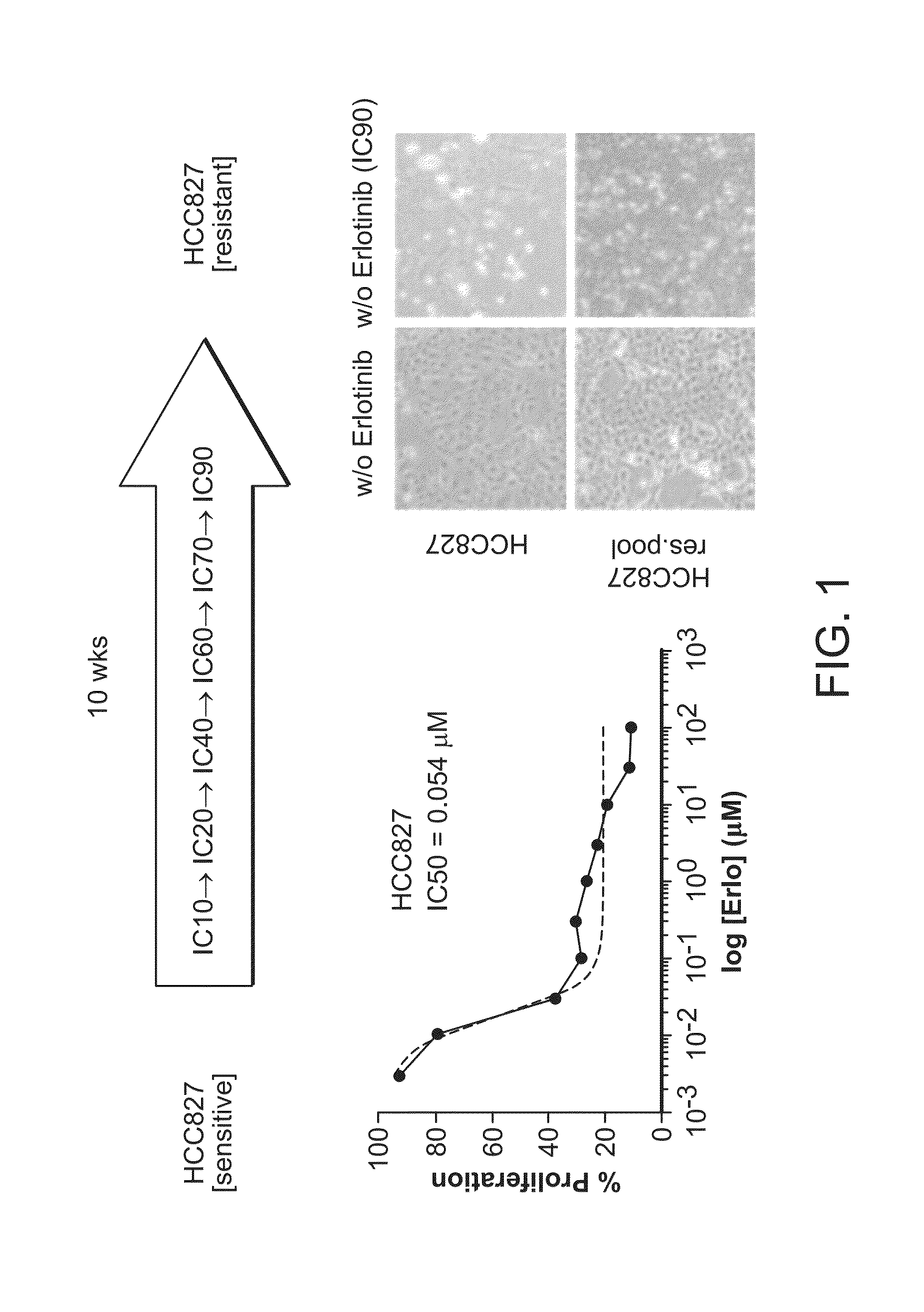 Combination cancer treatments utilizing synthetic oligonucleotides and egfr-tki inhibitors