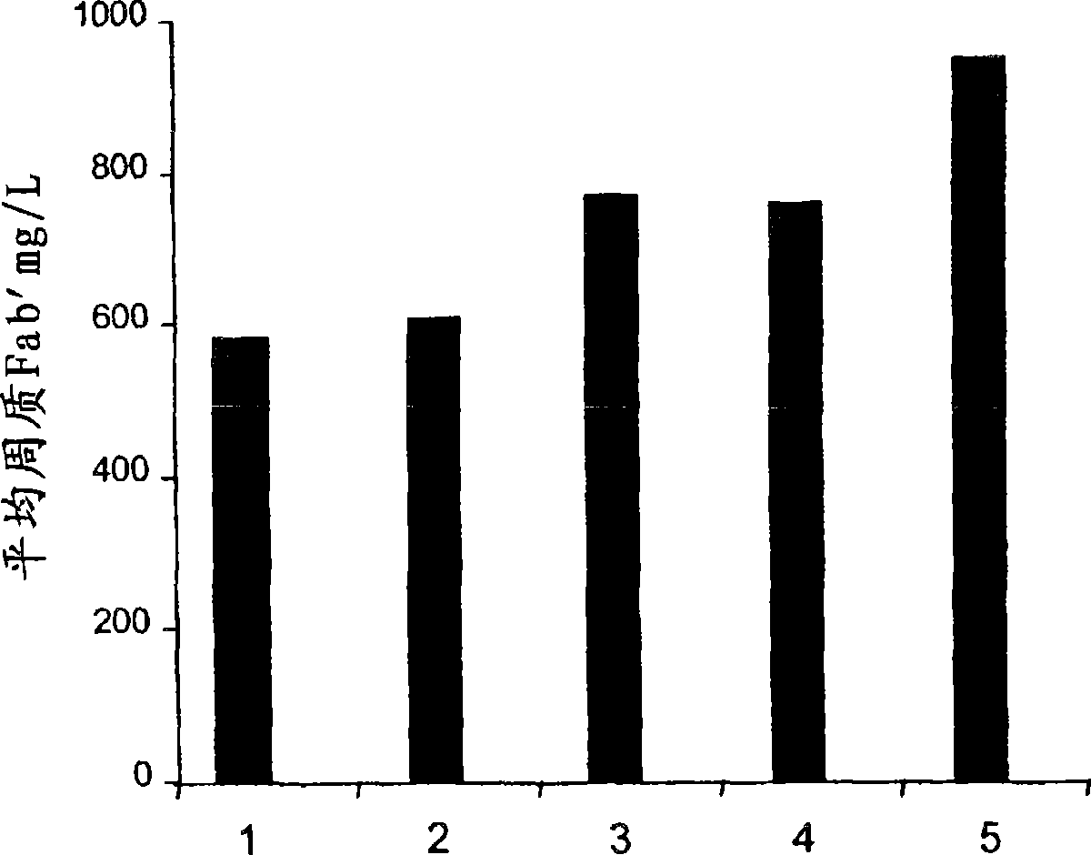 Process for obtaining antibodies