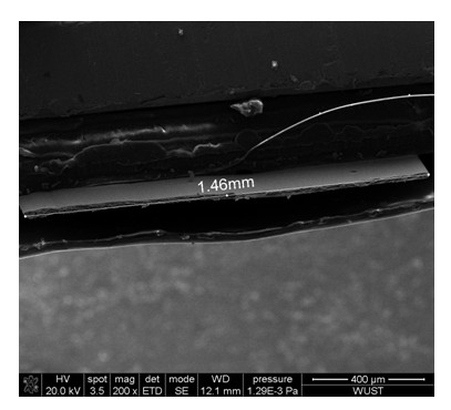 Highly-oriented highly-heat-conducting carbon/carbon composite material and preparation method thereof