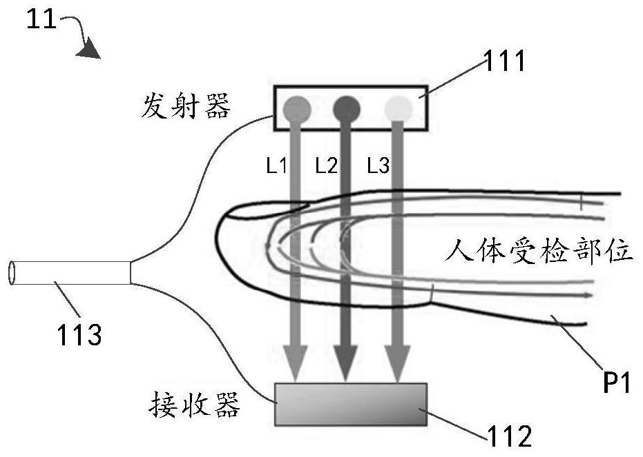 Detection method and device for effective effective hepatic blood flow, and storage medium