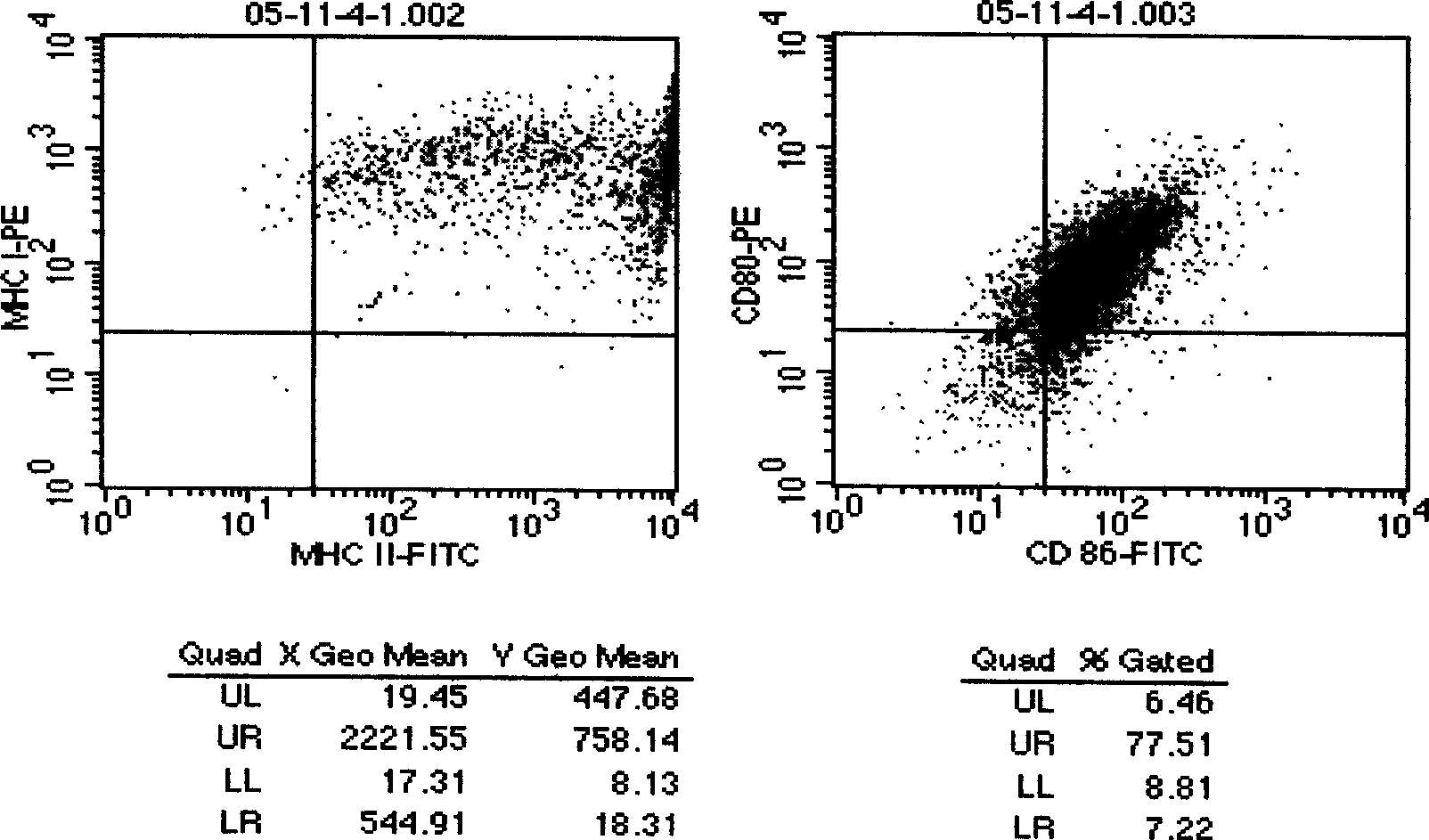 Soluble CD40L stimulation human peripheral blood B cell long-period culture method