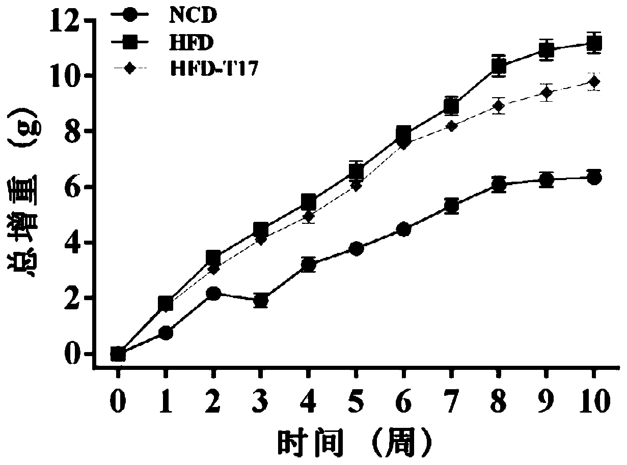 Lactobacillus plantarum zjuf T17 and its application