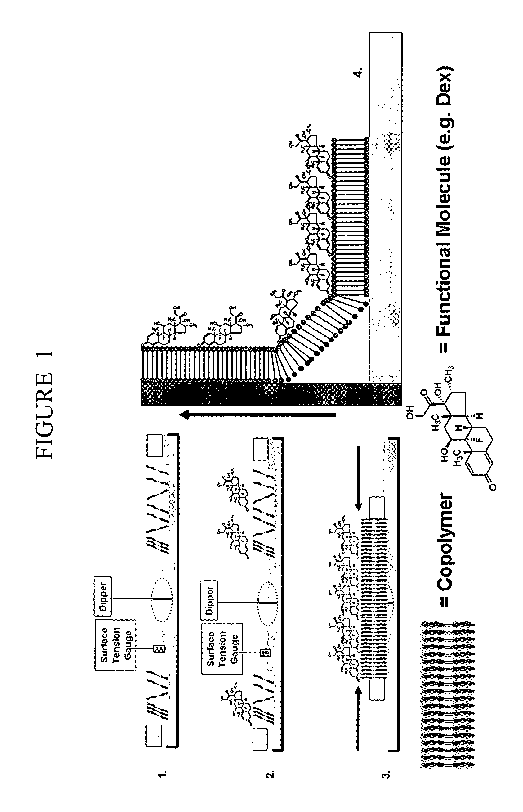 Polymer nanofilm coatings