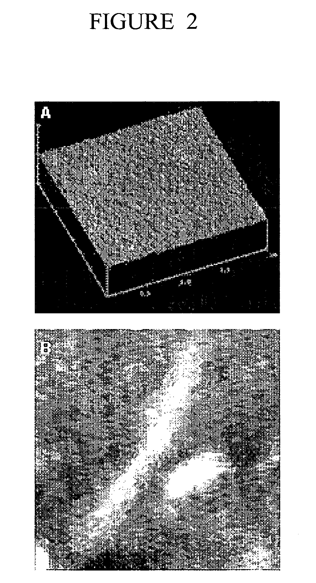 Polymer nanofilm coatings