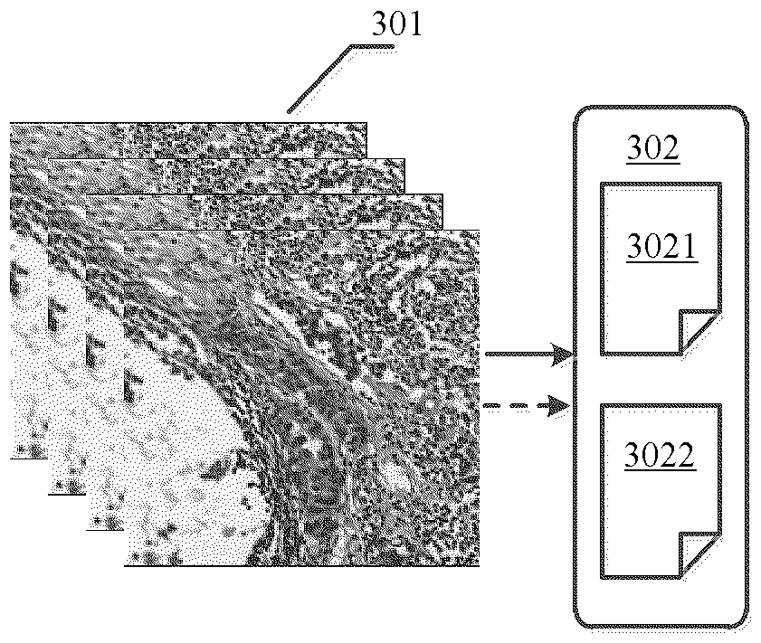 Medical image classification method, model training method and server