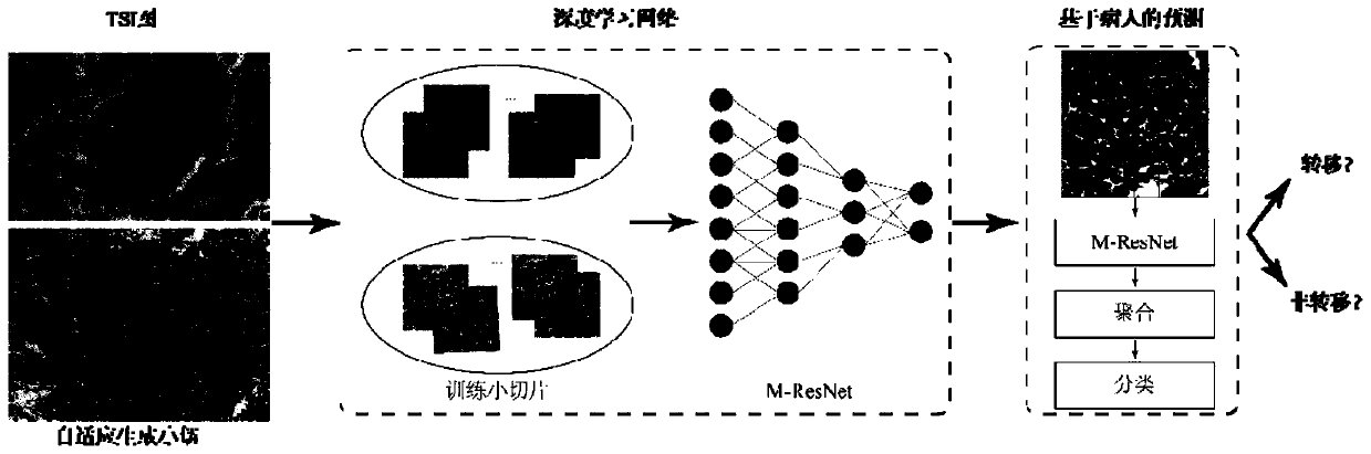 Nasopharyngeal carcinoma distant metastasis predicting system based on deep learning algorithm