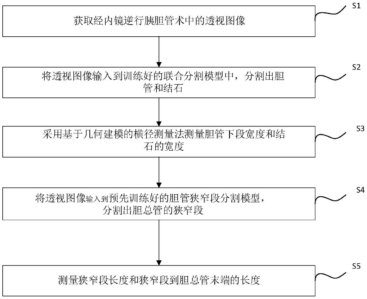 Auxiliary diagnosis and measurement method and system in endoscopic retrograde cholangiopancreatography