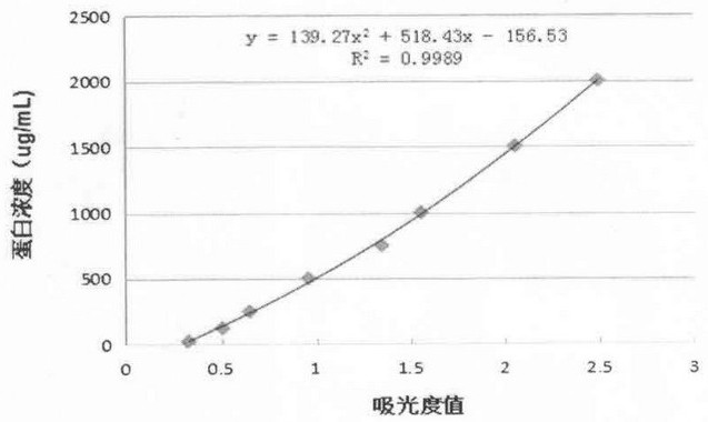 A kind of preparation method and application of bone marrow protein