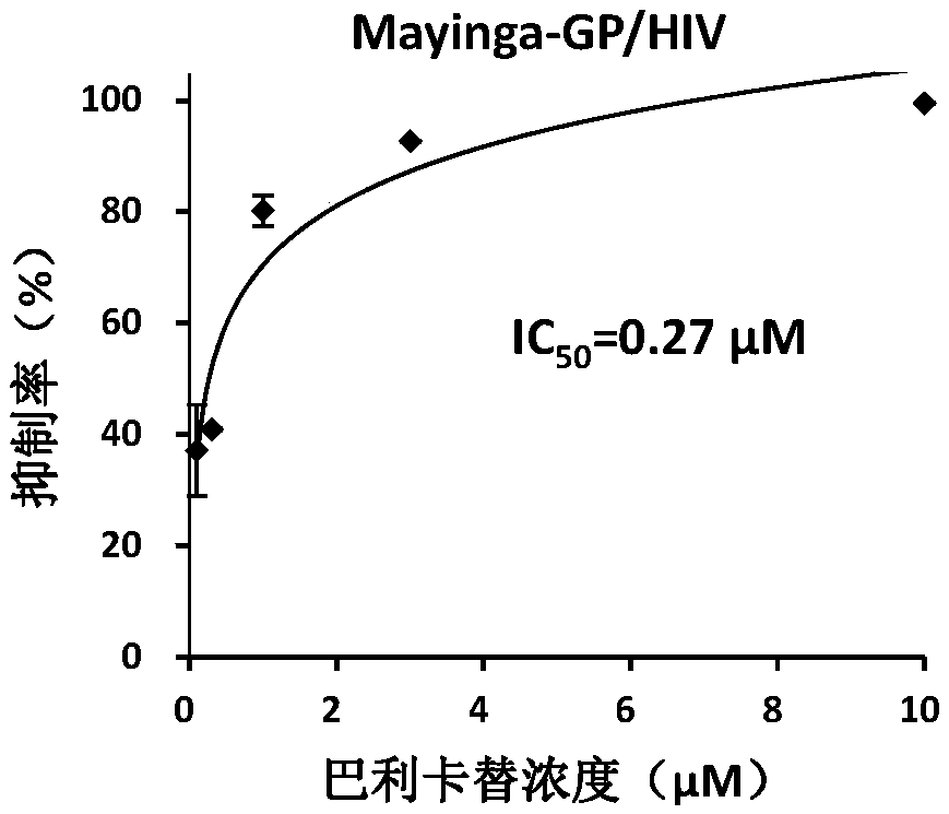 Application of balicatib in preparation of anti-filovirus infection drugs