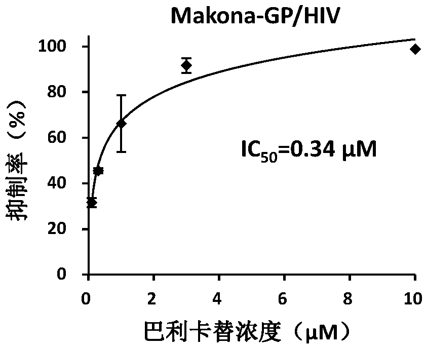 Application of balicatib in preparation of anti-filovirus infection drugs