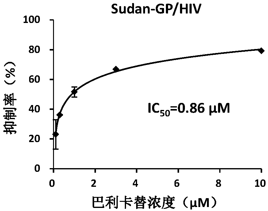 Application of balicatib in preparation of anti-filovirus infection drugs