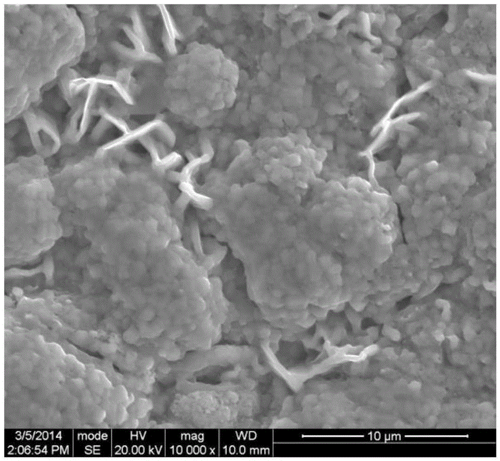 Preparing method for electric-conduction and anti-corrosion cobalt and manganese spinel coating