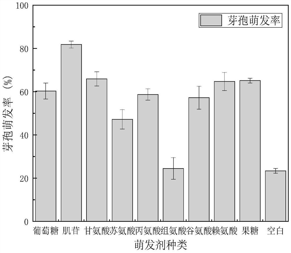 Bacillus siamensis capable of being used for repairing concrete cracks, microbial inoculum and application