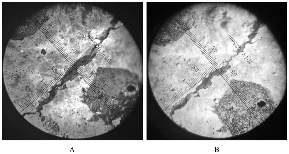 Bacillus siamensis capable of being used for repairing concrete cracks, microbial inoculum and application