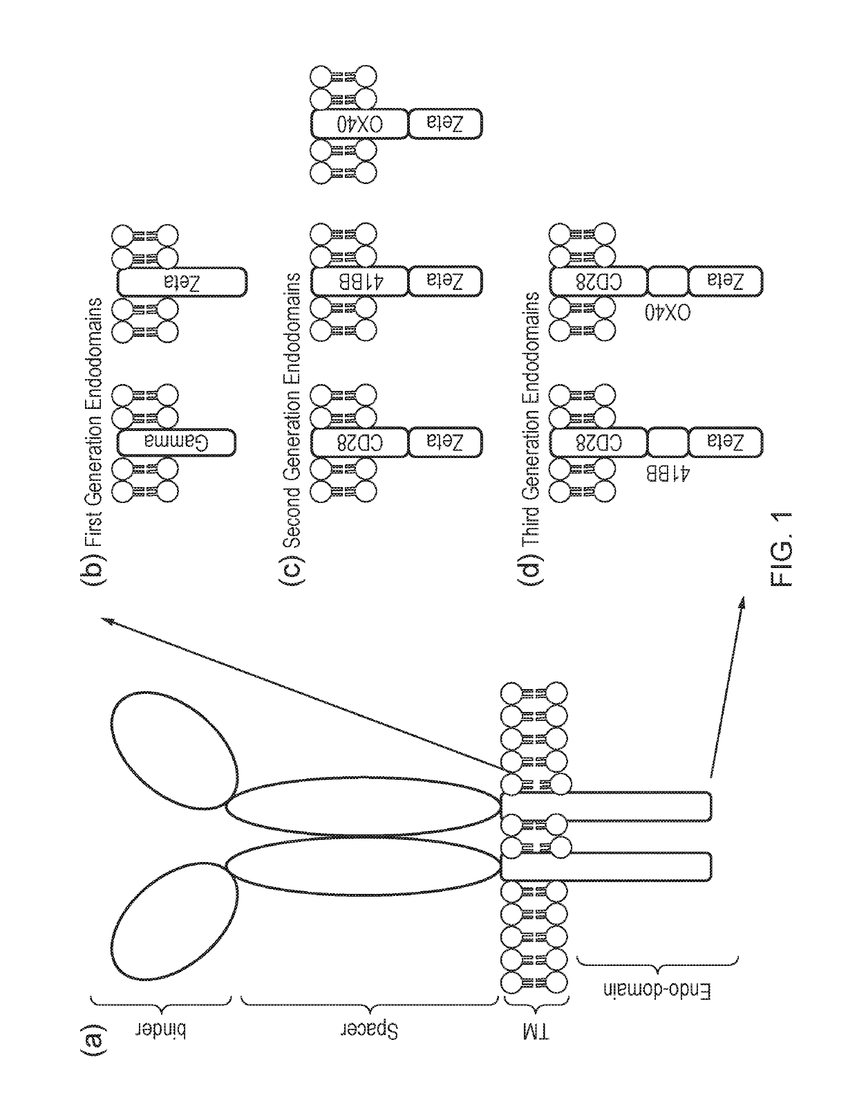 Signalling System