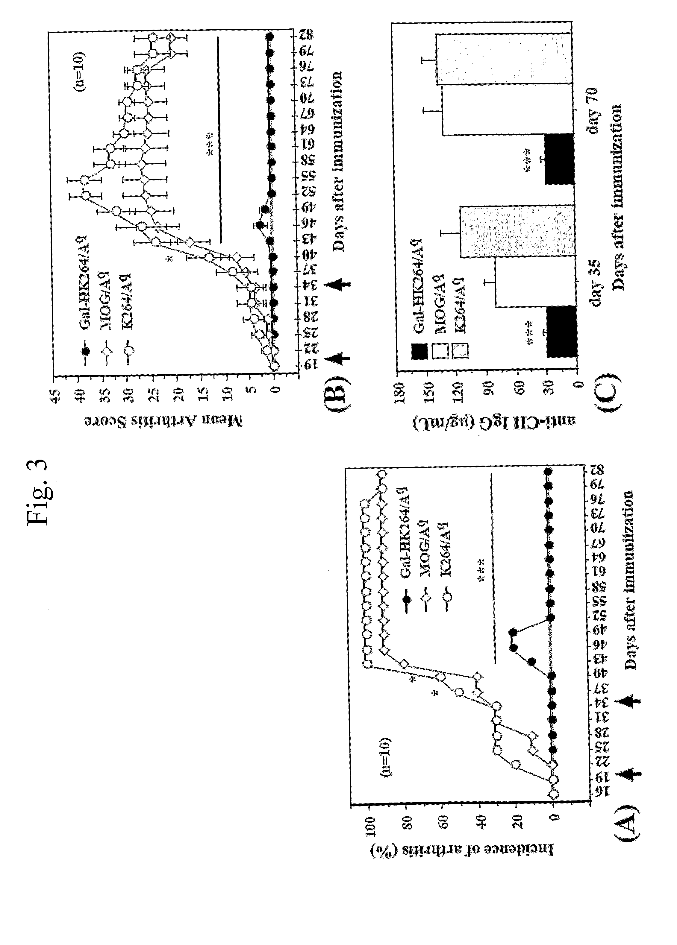 Compound comprising an autoantigenic peptide and a carrier with a mhc binding motif