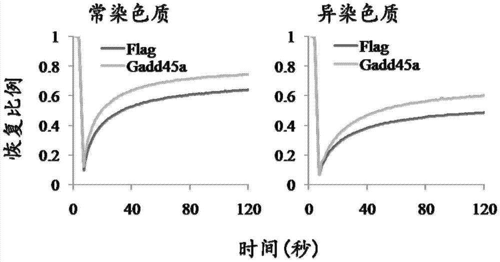 Approaches to Altering Cell Fate