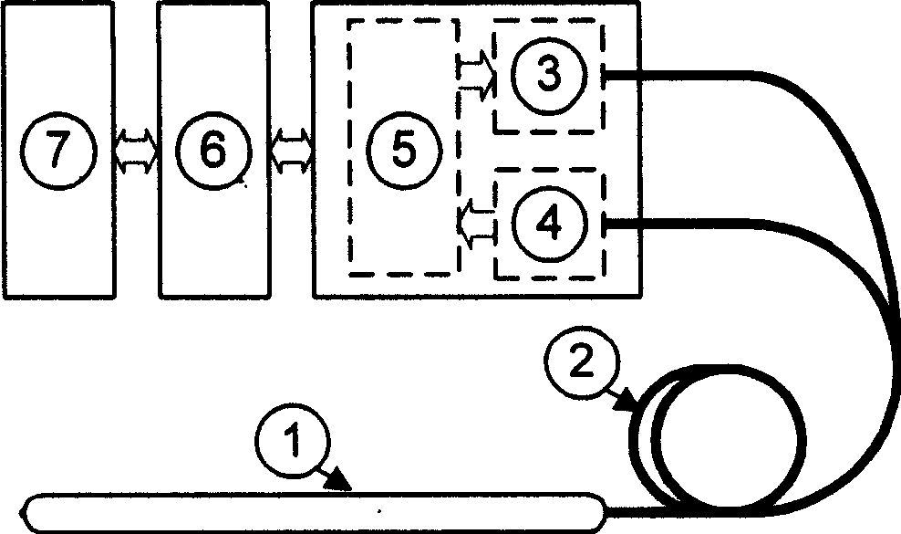 Optical fiber weighing system