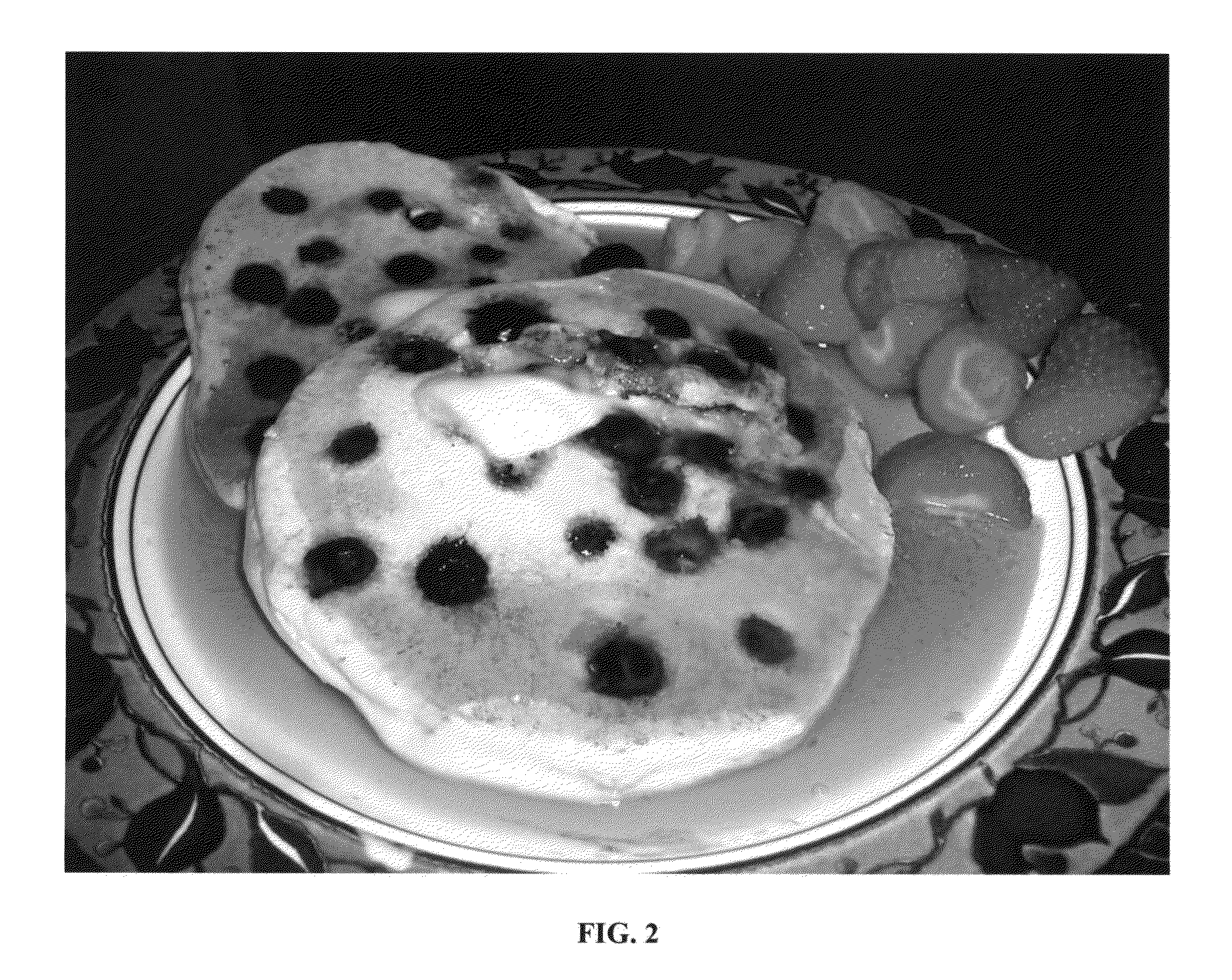 Vegan simulated egg compositions and methods