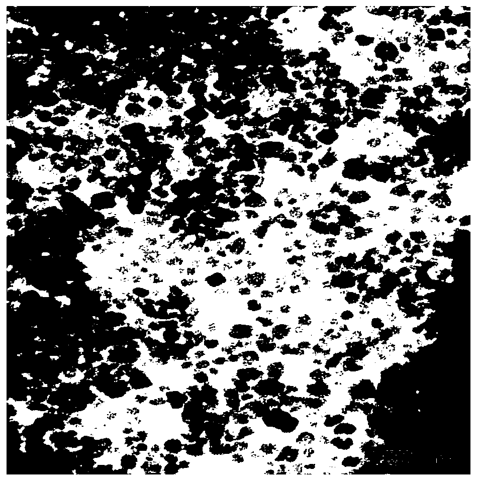 Silver-loaded nanometer titanium dioxide sol, preparation method and applications thereof