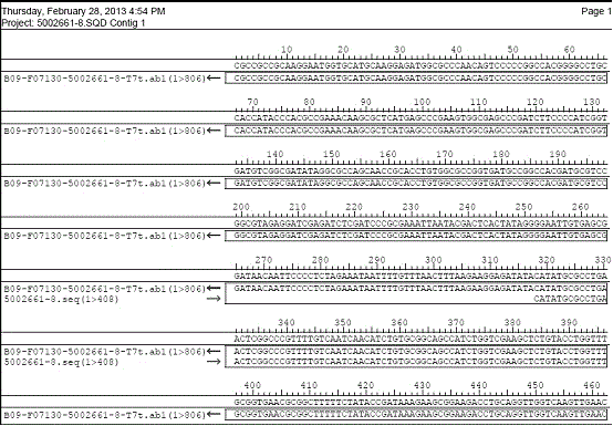 Preparation method of liraglutide intermediate polypeptide