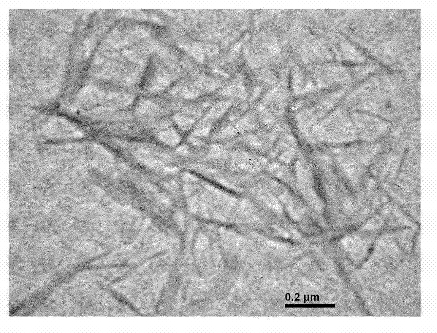 Method for preparing nanocellulose whisker by utilizing abandoned mulberry bark