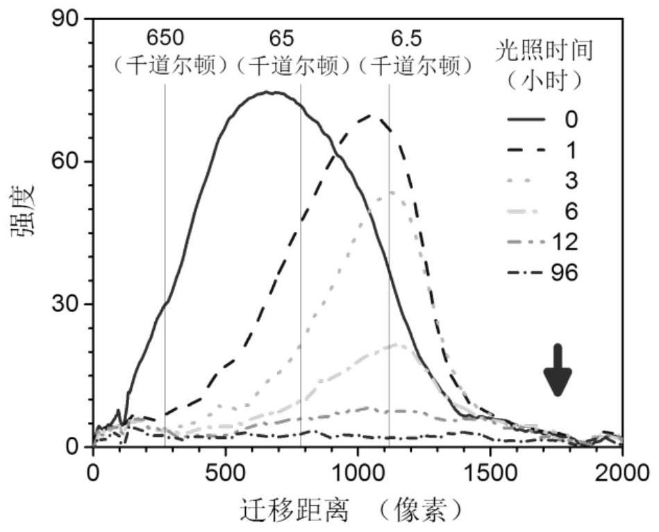 Application of polymer and photoresist containing polymer