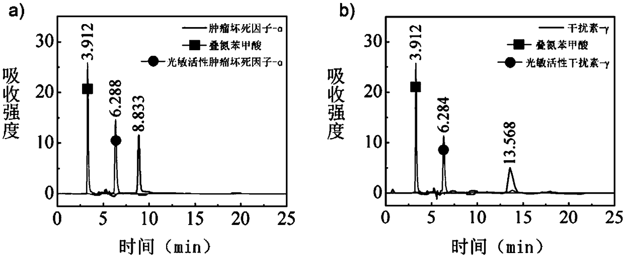 Antitumor drug and antitumor external application drug, and preparation methods thereof