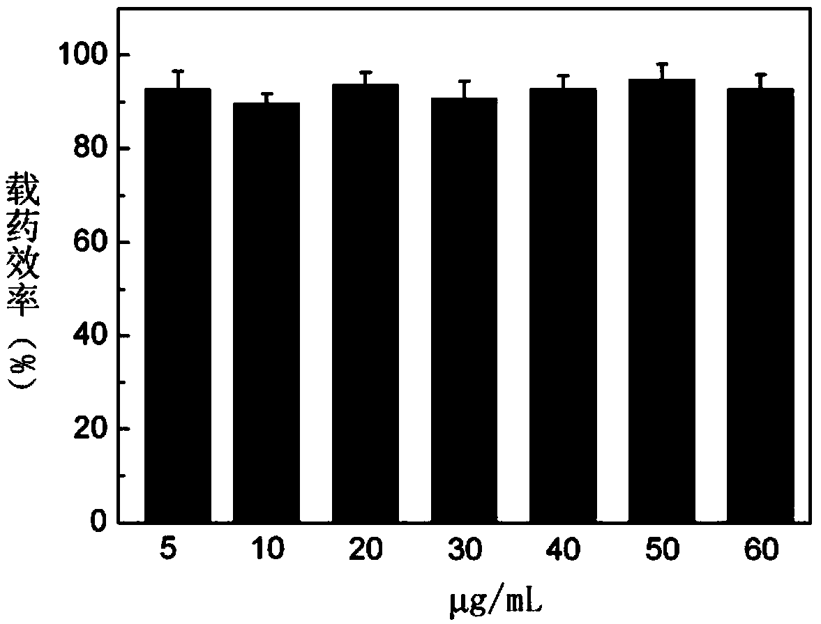 Antitumor drug and antitumor external application drug, and preparation methods thereof