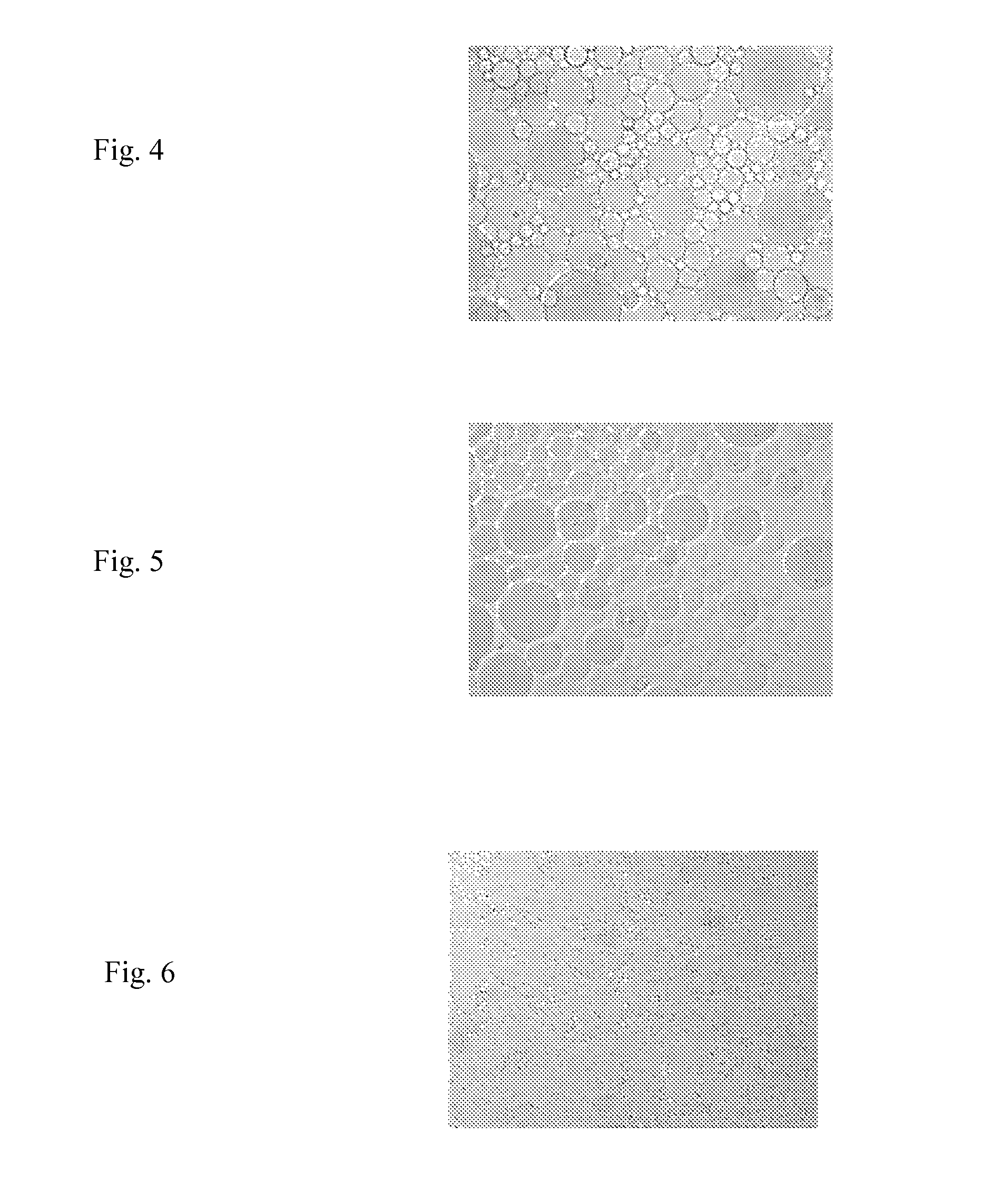 Preparation of polysaccharide beads