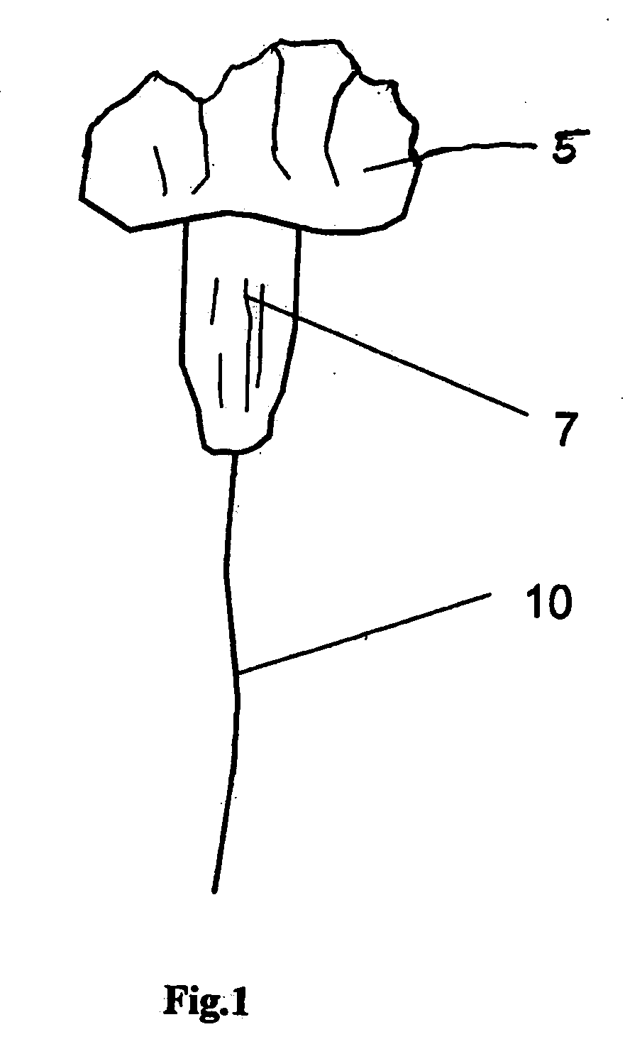 Methods and devices for treating dural puncture