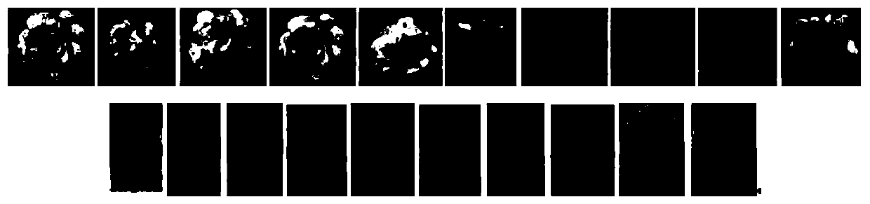 A plant species identification method based on leaf and flower fusion for locally distinguishing CCA