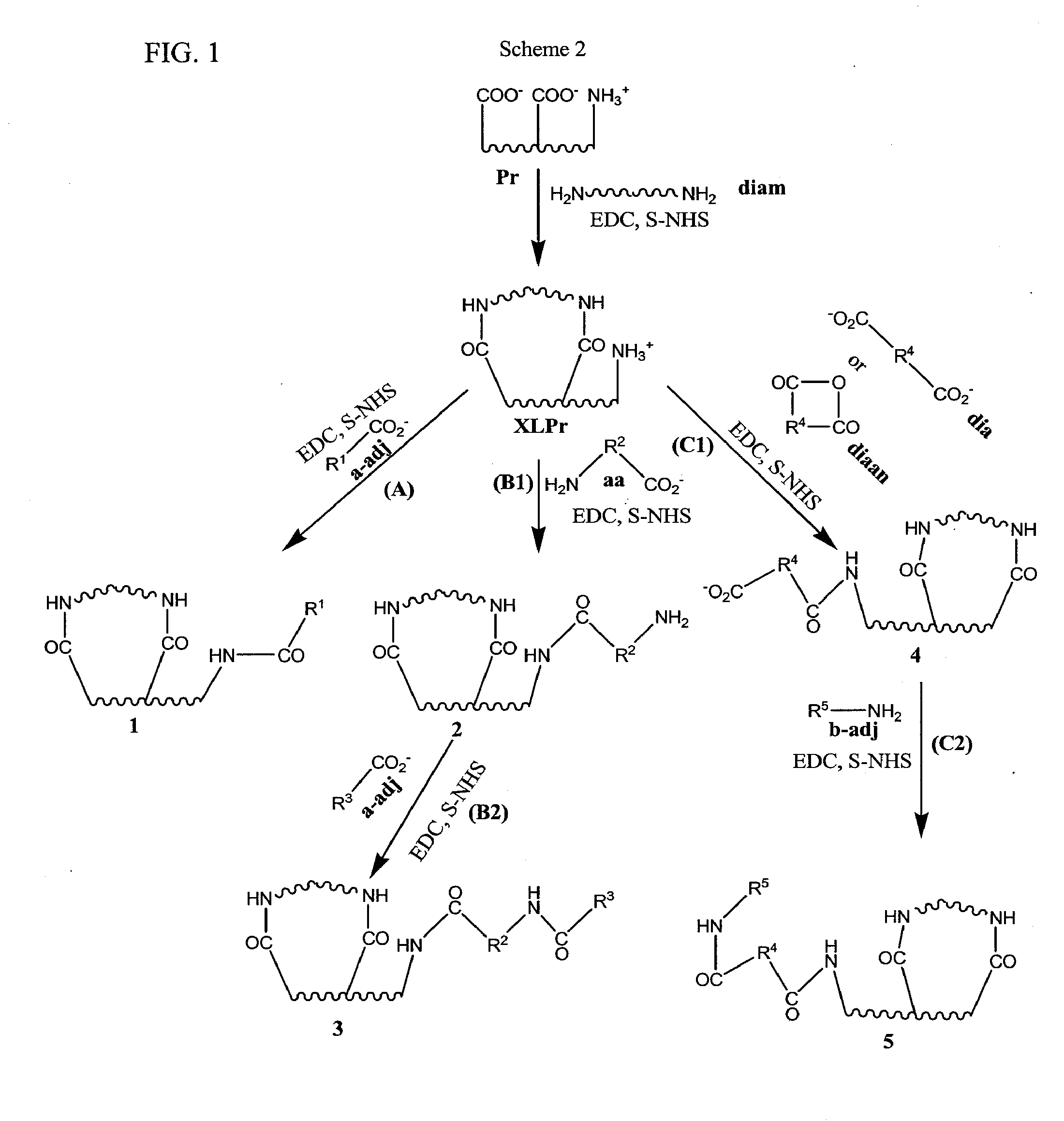 Stabilized, sterilized collagen scaffolds with active adjuncts attached