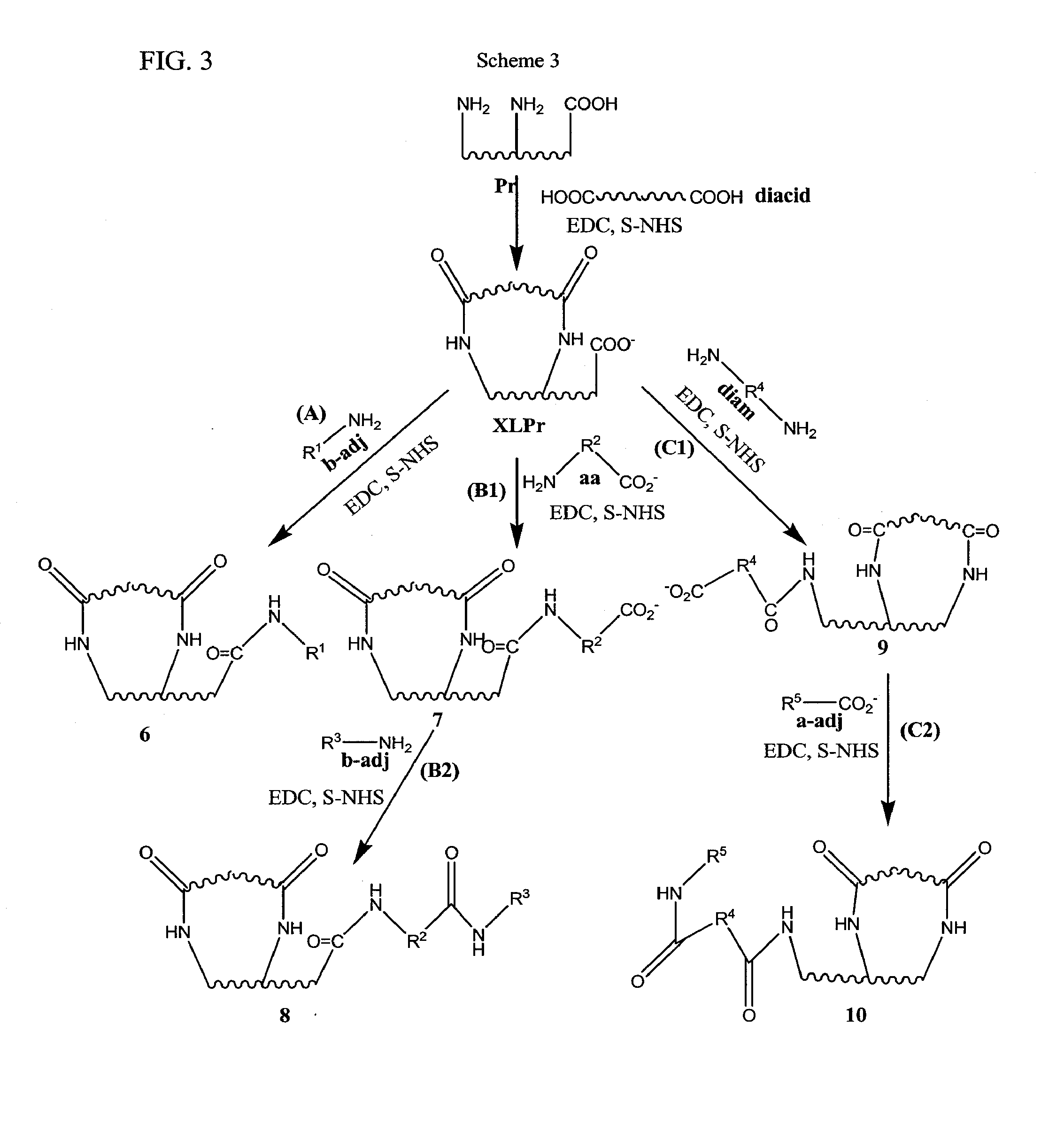 Stabilized, sterilized collagen scaffolds with active adjuncts attached