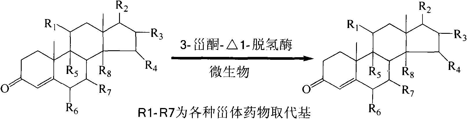 3-sterone-delta[1]-dehydrogenase gene, relevant carriers, engineering strains and applications thereof